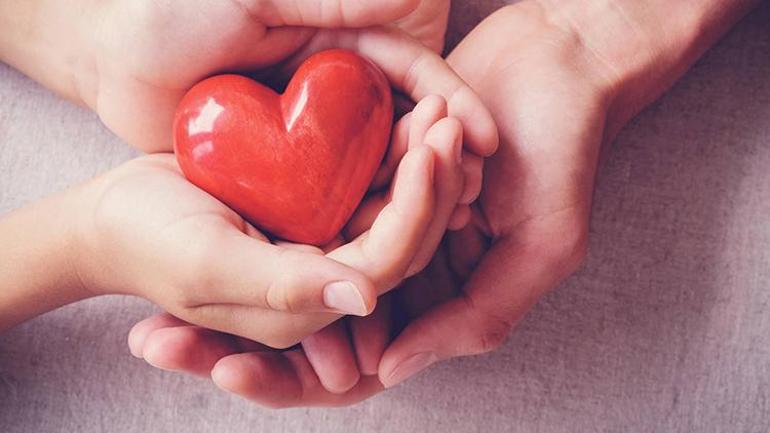 Türkiye'nin Organ Nakli Başarısı ve Kadavradan Organ Bağışı Sorunu