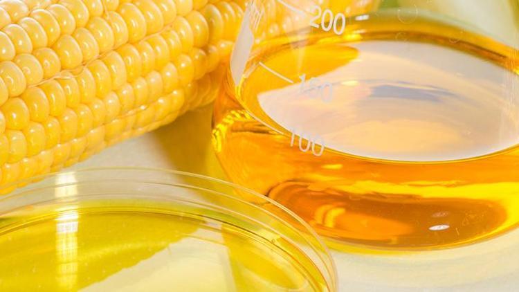 Ürik Asit Yüksekliği ve Sağlıklı Beslenme Önerileri