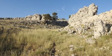 yaban-hayatinda-tarihi-fosil-kesfi-15-23-milyon-yil-onceye-ait-kalintilar-OxJhBOn6.jpg