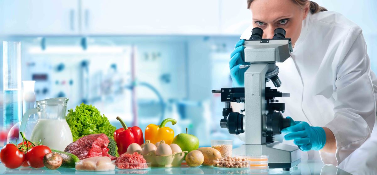 Yanlış Beslenmenin Etkileri ve Metabolizma