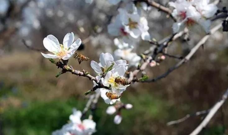 2025 Cemre Düşme Tarihleri ve Anlamı