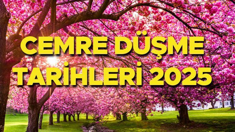 Cemreler: Baharın Müjdeleyicisi