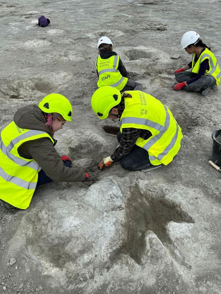 Dinozorların İzleri ve Sürüler Halinde Hareketi