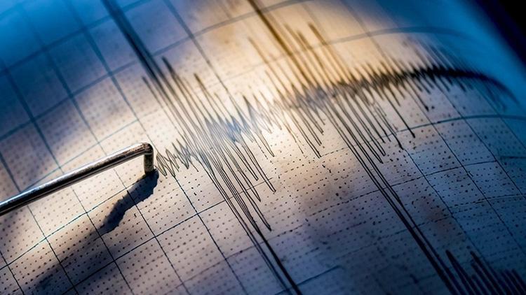 Ege Denizi'nde Depremler ve Tsunami Riski: Diri Fay Hattı Haritası
