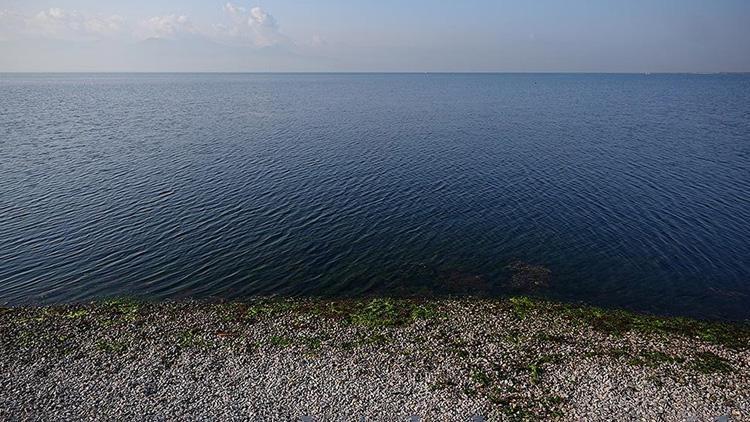 Ege Denizi'nde Depremler ve Tsunami Riski: Diri Fay Hattı Haritası