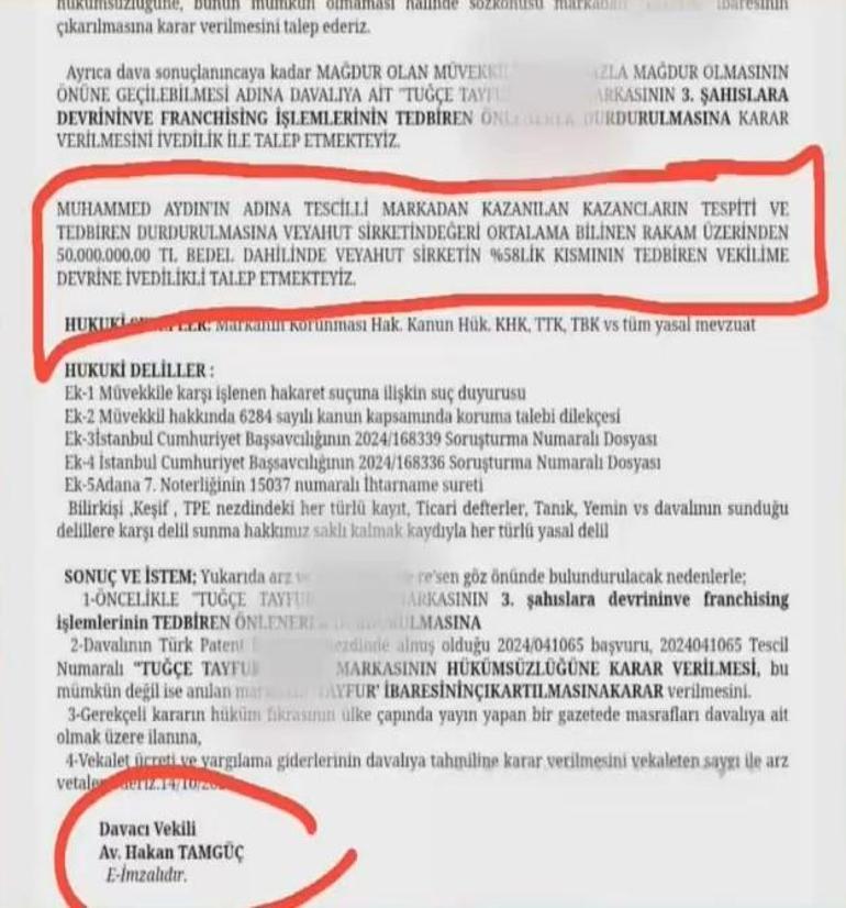 Ferdi Tayfur'un Siyasi Teklifleri ve Kişisel Yaşamı
