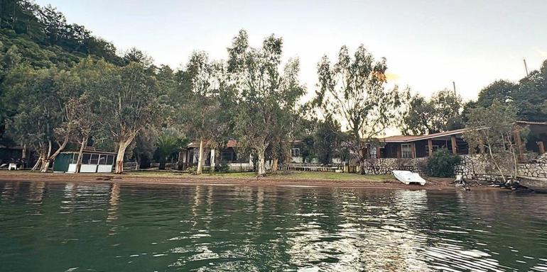 Ferdi Tayfur'un Serveti ve Yatırımları