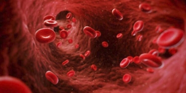 hematoloji-nedir-neye-bakar-hematoloji-kismi-hekimi-hematolog-hangi-hastaliklara-bakar-IkTsLHJD.jpg