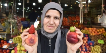 kisin-cani-cekenin-cebi-yandi-ne-yarim-ne-kiloyla-satiliyor-adedinin-fiyati-sasirtiyor-1KenrYZt.jpg