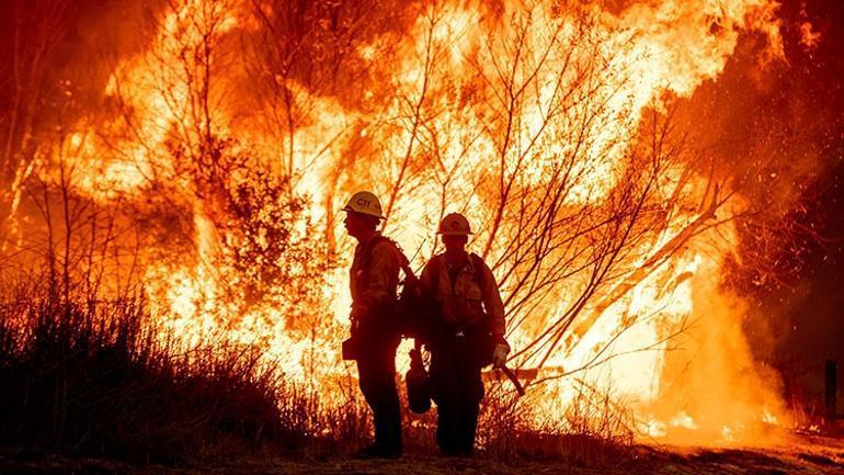 Los Angeles'taki Büyük Yangın Felaketi: Son Durum ve Gelişmeler