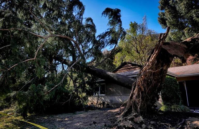 Los Angeles'teki Orman Yangınları Kontrol Altına Alınamıyor