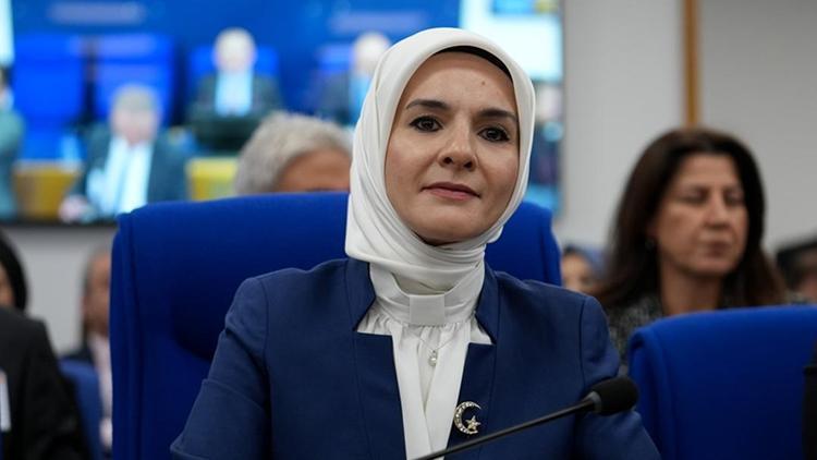 Nüfus Politikaları Yüksek Kurulu Nedir, Görevleri Neler?