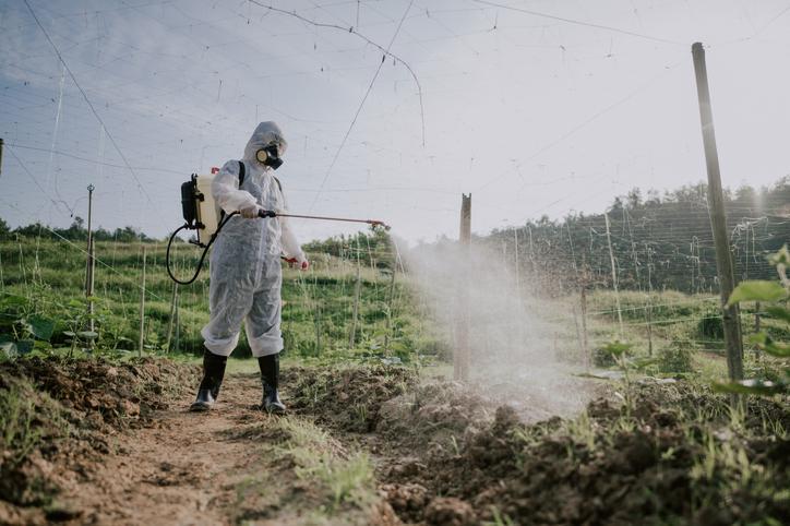Pestisitlerin Sağlık Üzerindeki Etkileri