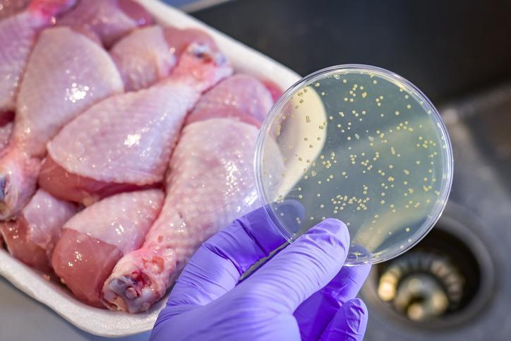 Salmonella Nedir? İzmir'de Kumpir Yedikten Sonra Hayatını Kaybedenlerin Olayı