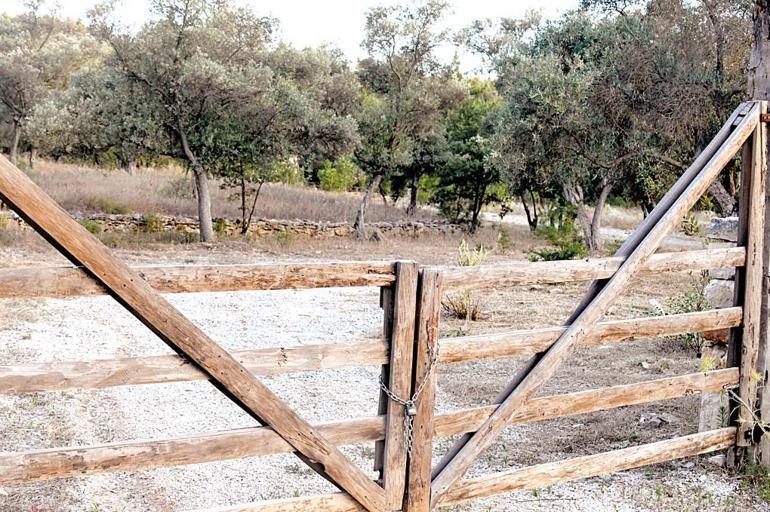 Sarp Levendoğlu'nun Datça'daki Yeni Yaşamı ve Ünlülerin Doğal Hayat Tercihleri